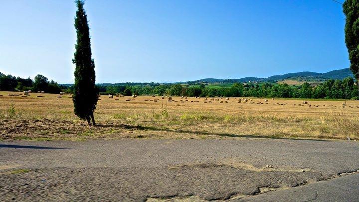 Appartamento Old England In Chianti Montespertoli Εξωτερικό φωτογραφία