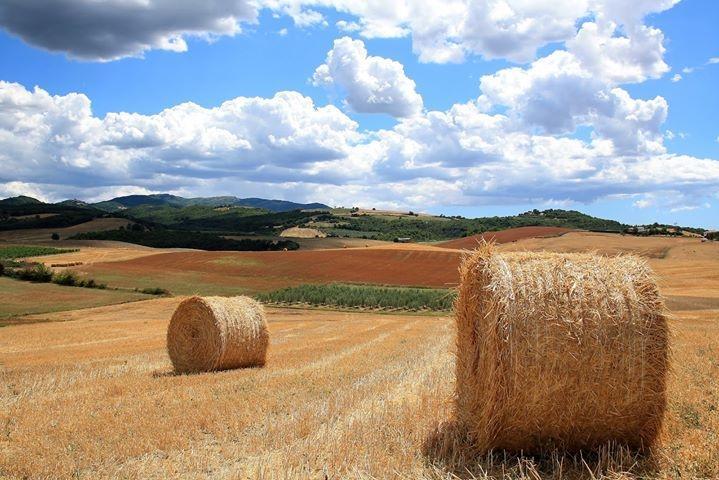 Appartamento Old England In Chianti Montespertoli Εξωτερικό φωτογραφία